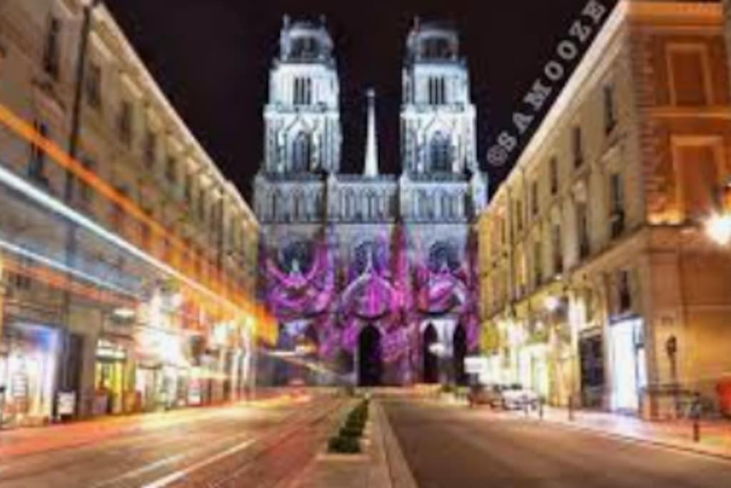 Chaleureux Appart, Proche De La Loire Avec Parking Orlean Zewnętrze zdjęcie